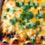 Chicken Thigh Enchilada Casserole