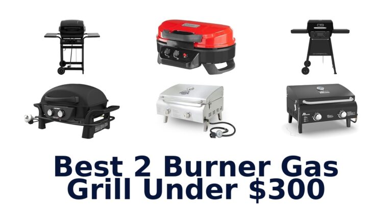 BEST 2 Burner Gas Grills Under $300: Top 10 Picks best 2 burner gas grill under $300