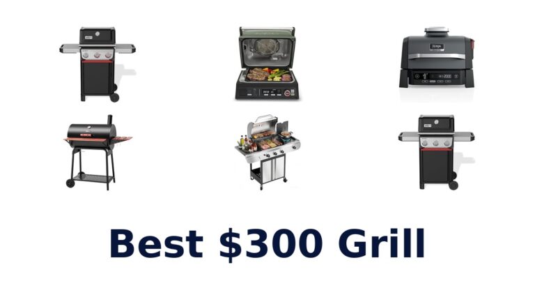 BEST $300 Grill Picks: Top 10 Contenders best $300 grill