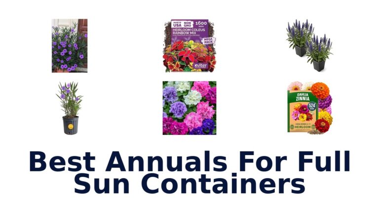 BEST Full Sun Container Annuals: Top 10 Picks best annuals for full sun containers