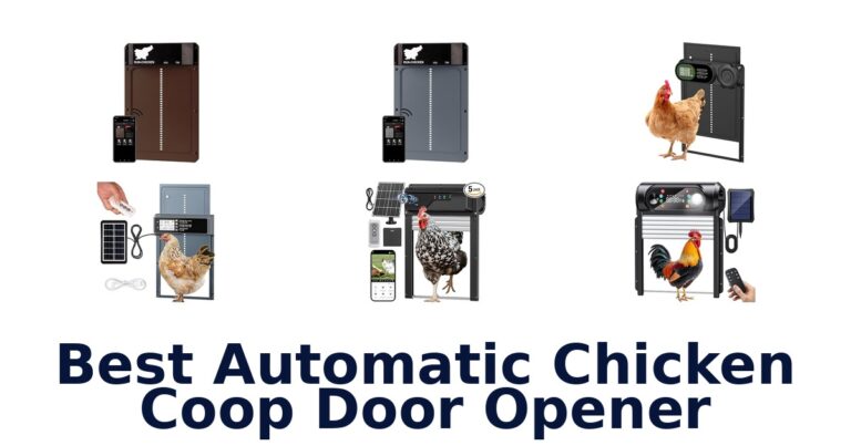 Best Automatic Chicken Coop Door Openers: Top 10 Picks best automatic chicken coop door opener