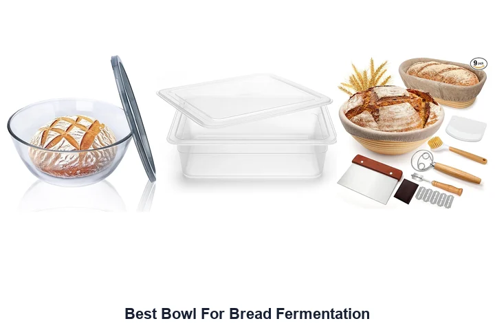 Best Bowl For Bread Fermentation: Top Picks Best Bowl For Bread Fermentation