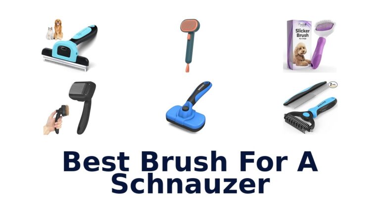Best Brushes for Schnauzers: Top 10 Picks 2026 best brush for a schnauzer