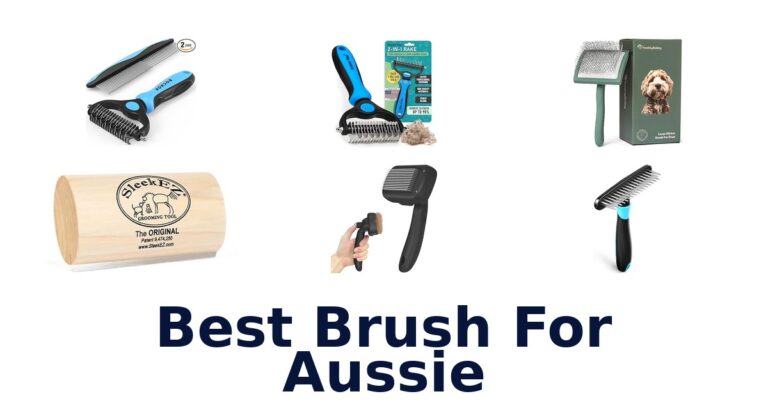 Best Brushes for Aussies: Top 10 Picks best brush for aussie