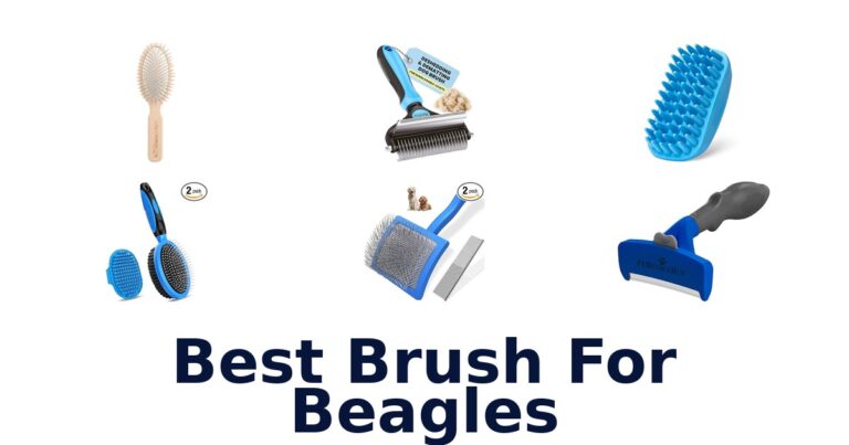Best Brushes for Beagles: Top 10 Picks best brush for beagles