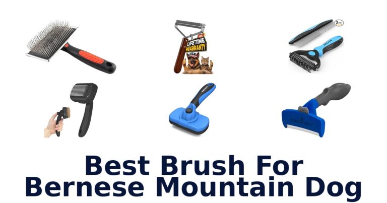Best Brush for Bernese Mountain Dog: Top 10 Picks best brush for bernese mountain dog
