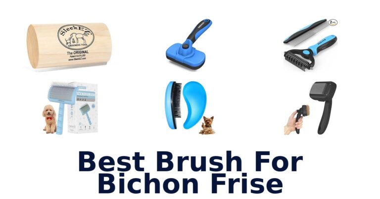 Best Brush for Bichon Frise: Top 10 Picks best brush for bichon frise