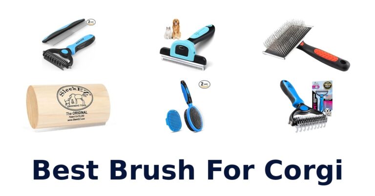 Best Brushes for Corgis: Top 10 Picks! best brush for corgi