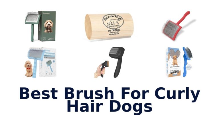 Best Brushes for Curly Hair Dogs: Top 10 Picks best brush for curly hair dogs