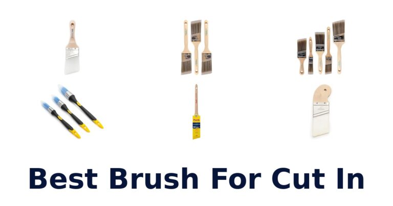Best Brush for Cut In: Top 10 Picks best brush for cut in