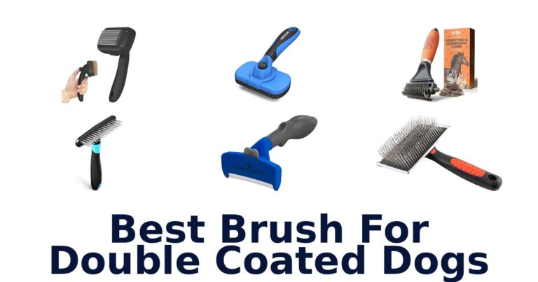 10 Best Brushes for Double Coated Dogs best brush for double coated dogs