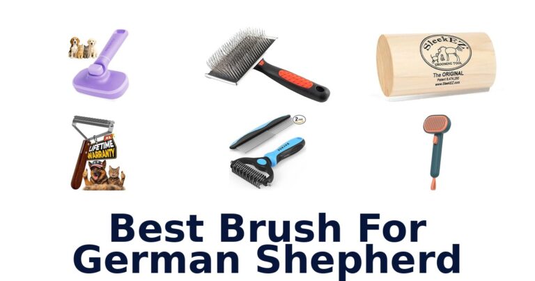 Best Brushes for German Shepherds: Top 10 Picks best brush for german shepherd