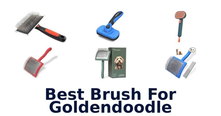 Best Brush for Goldendoodle: Top 10 Picks! best brush for goldendoodle