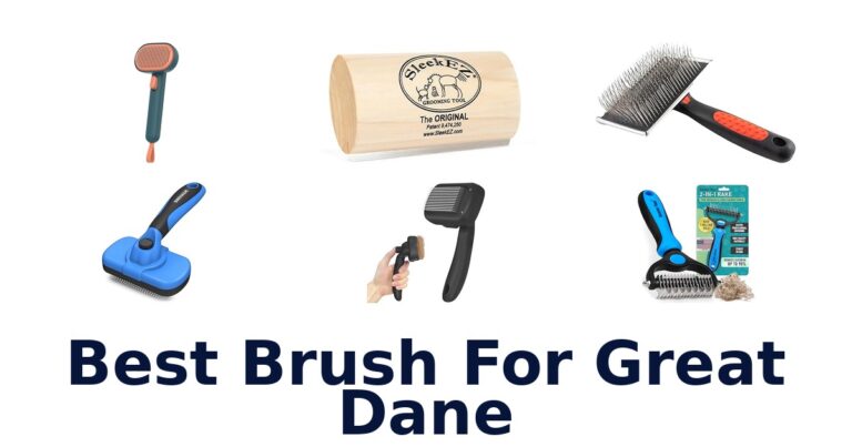 BEST Brushes for Great Danes: Top 10 Picks Revealed! best brush for great dane