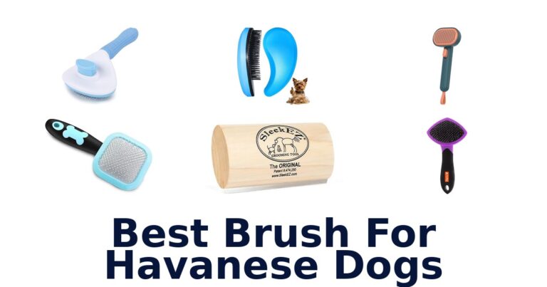 Best Brush for Havanese Dogs: Top 10 Picks best brush for havanese dogs