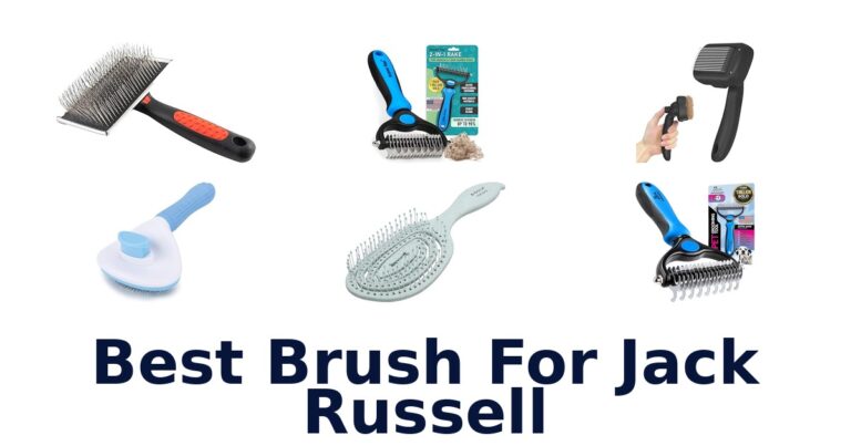 Best Brush for Jack Russells: Top 10 Picks! best brush for jack russell