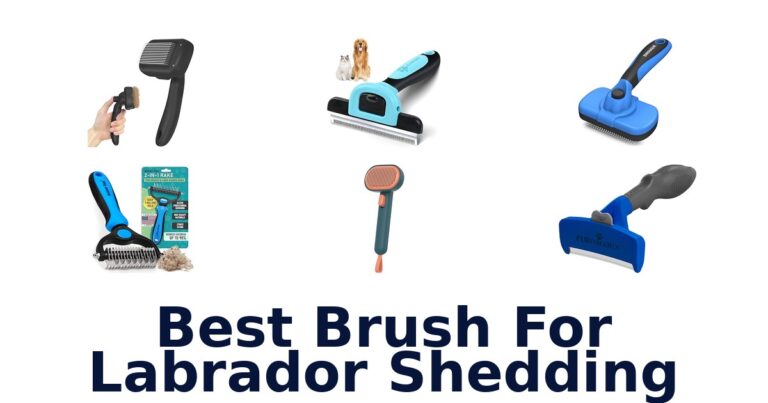 Best Brushes For Labrador Shedding: Top 10 Picks best brush for labrador shedding