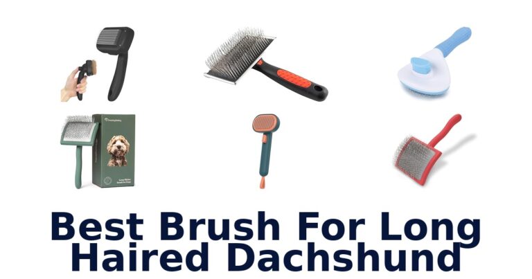 BEST Brush for Long Haired Dachshunds best brush for long haired dachshund
