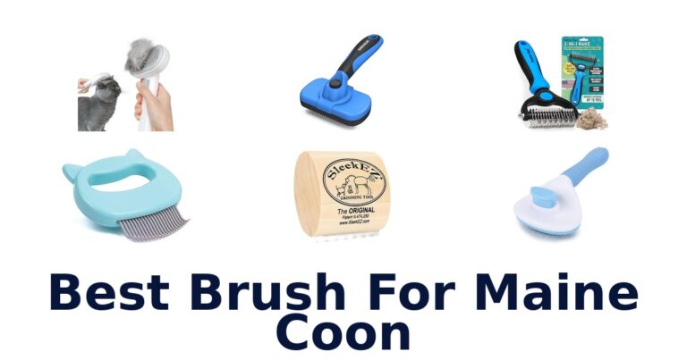 Best Brushes for Maine Coon: Top 10 Picks best brush for maine coon