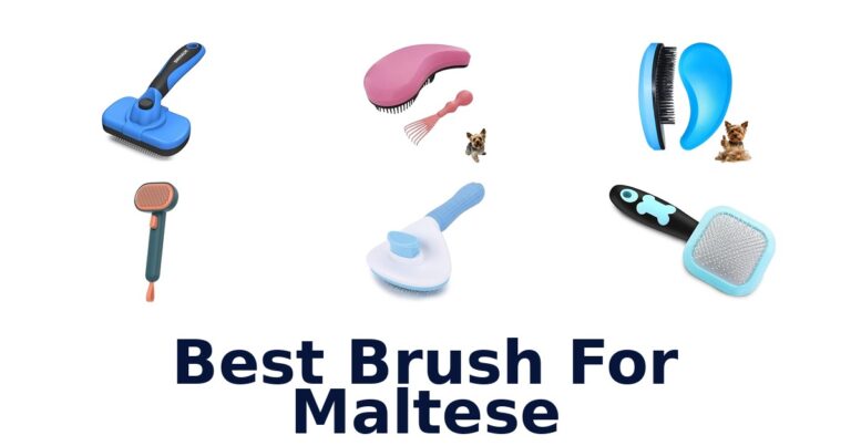 BEST Brush for Maltese: Top 10 Picks best brush for maltese