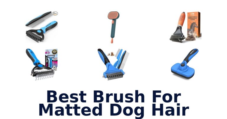 Best Brush for Matted Dog Hair: Top 10 Picks best brush for matted dog hair