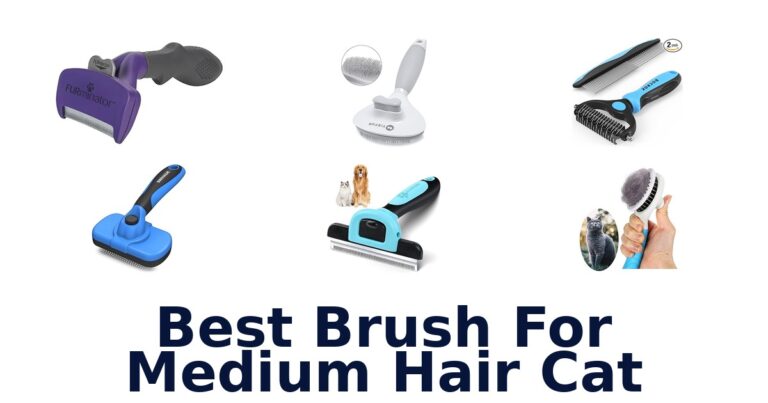 Best Brush for Medium Hair Cat: Top 10 Picks best brush for medium hair cat