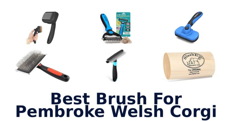 Best Brush for Pembroke Welsh Corgi: Top 10 Picks best brush for pembroke welsh corgi