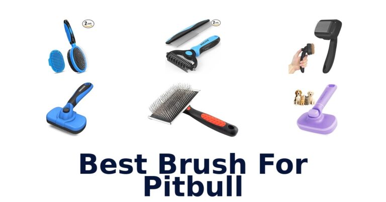 BEST Brushes for Pitbull: Top 10 Picks! best brush for pitbull
