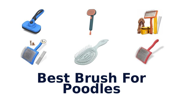 Best Brushes For Poodles: Top 10 Picks Reviewed best brush for poodles