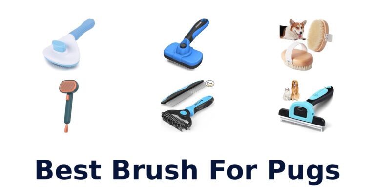 Best Brush for Pugs: Top 10 Picks for Fluffy Hounds best brush for pugs