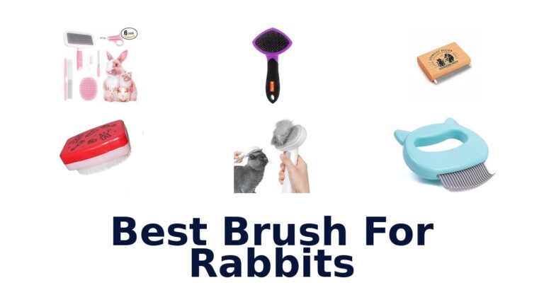 Best Brush for Rabbits: Top 10 Picks best brush for rabbits