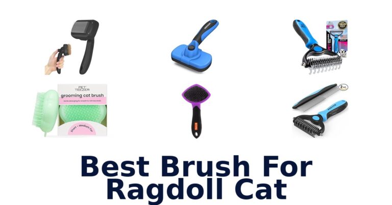 Best Brush for Ragdoll Cat: Top 10 Picks best brush for ragdoll cat