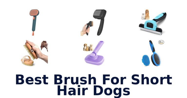 Best Brushes for Short Hair Dogs: Top 10 best brush for short hair dogs