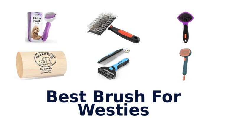 Best Brush for Westies: Top 10 Shedding Solutions best brush for westies