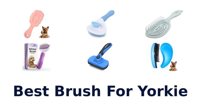 BEST Brush for Yorkie: Top 10 Picks Revealed best brush for yorkie