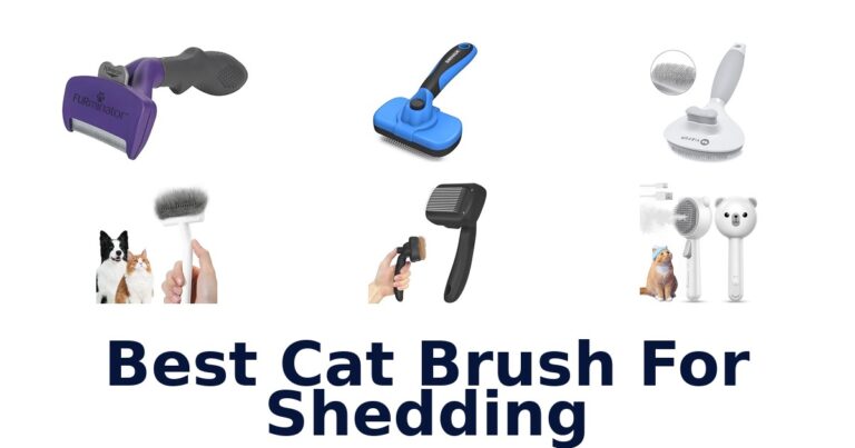 Best Cat Brushes for Shedding: Top 10 Picks best cat brush for shedding