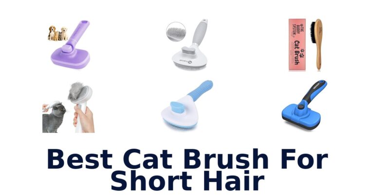 Best Cat Brushes for Short Hair: Top 10 Picks best cat brush for short hair