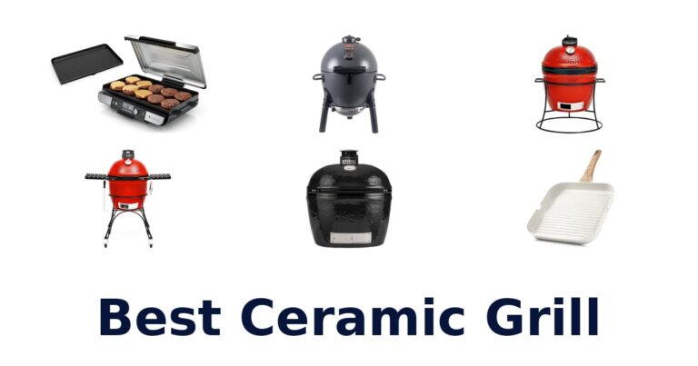 Best Ceramic Grills: Top 10 Picks for 2026 best ceramic grill