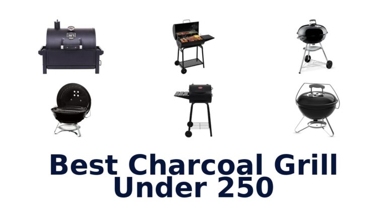 Best Charcoal Grills Under $250: Top 10 Picks best charcoal grill under 250