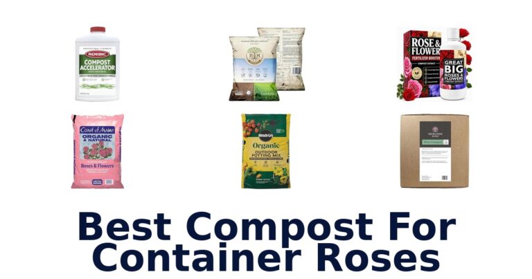 BEST Compost for Container Roses: Top 10 Picks best compost for container roses