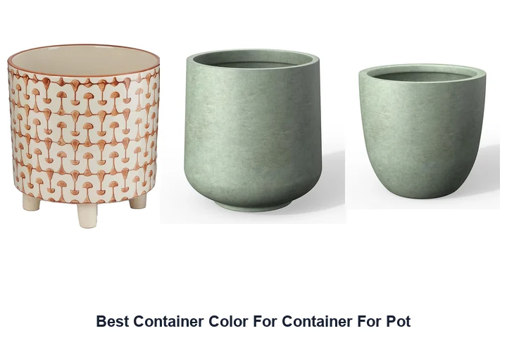 Container Color: Best Pots to Buy Now Best Container Color For Container For Pot