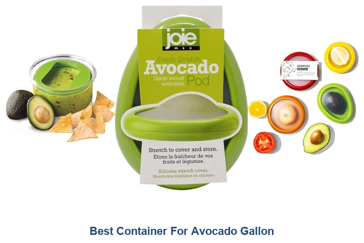 Best Container For Avocado Gallon: Top Picks Best Container For Avocado Gallon