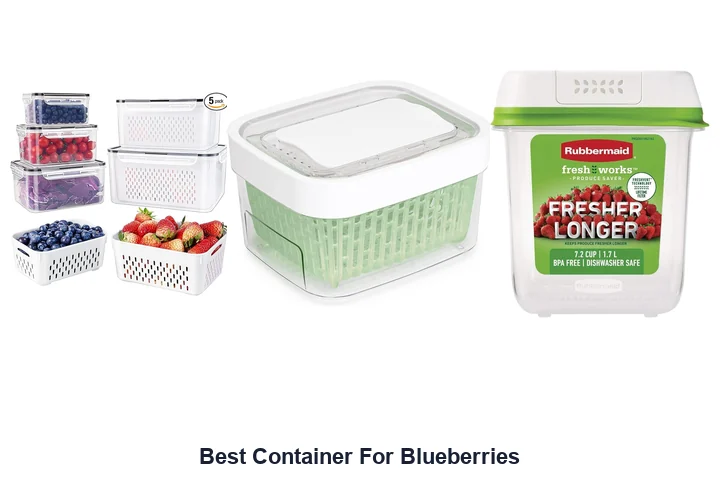 Best Container For Blueberries: Top Picks Now Best Container For Blueberries