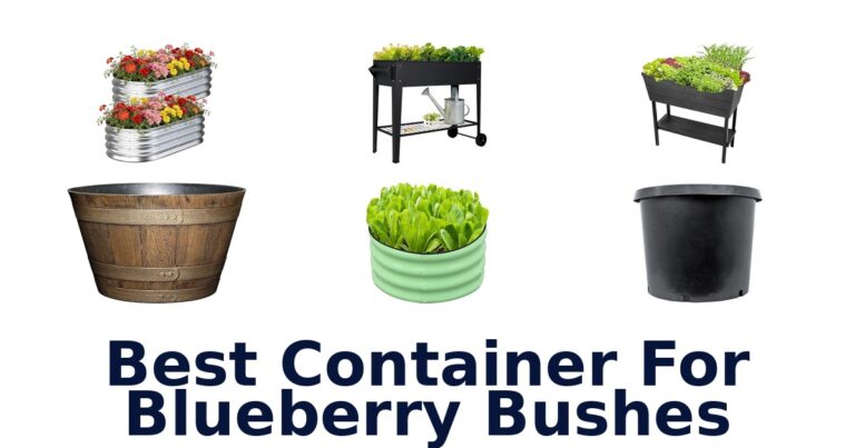 Best Containers for Blueberry Bushes best container for blueberry bushes
