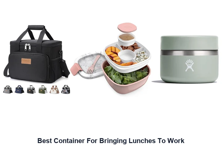 Best Lunch Containers: Top Picks for 2026 Best Container For Bringing Lunches To Work
