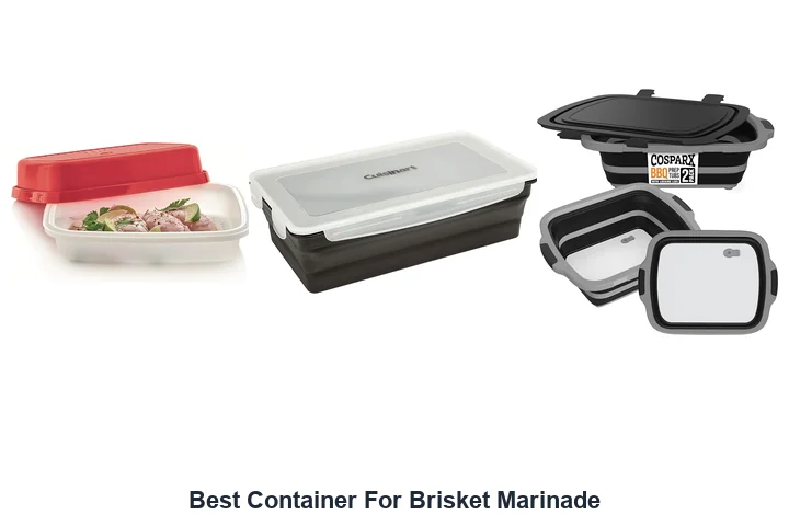 Best Brisket Marinade Container: Top Picks Best Container For Brisket Marinade