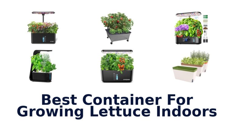 Best Containers for Growing Lettuce Indoors: Top 10 Picks best container for growing lettuce indoors