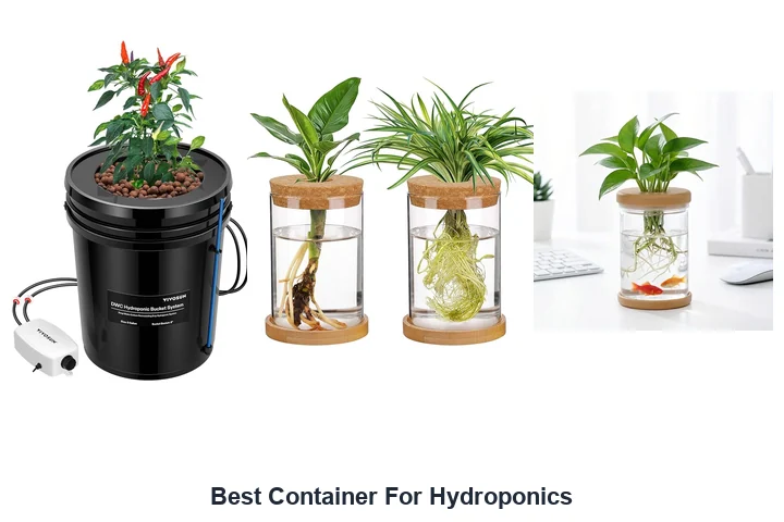 Best Container For Hydroponics: Top Picks Best Container For Hydroponics