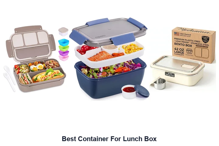 Best Container For Lunch Box: Top Picks Best Container For Lunch Box