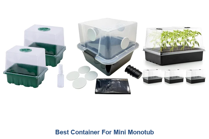 Mini Monotub: Best Containers You Need Now Best Container For Mini Monotub